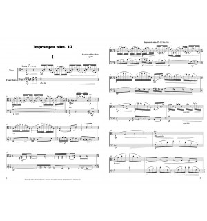 Impromptu núm. 17