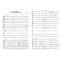 Concerto for Violin & Orchestra