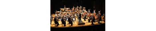 Symphonic Orchestra