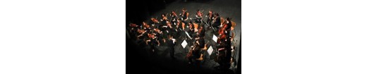 Chamber orchestra